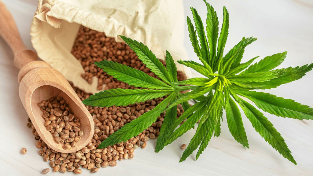 Cannabis for daily use