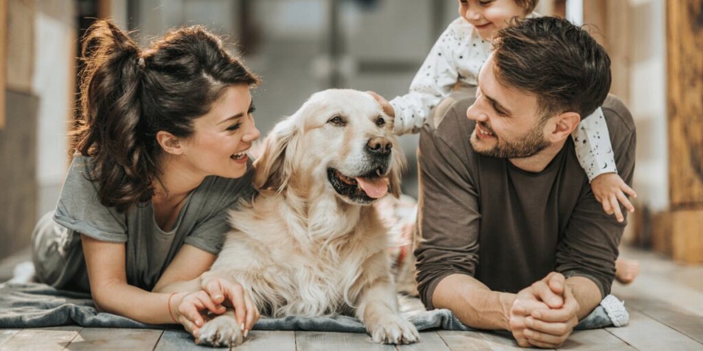 Understanding How CBD Works in Pets